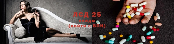 круглые Аркадак
