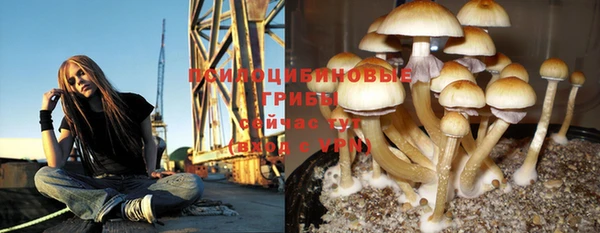 эйфоретик Пролетарск