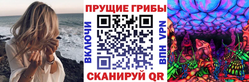 наркотики  Советск  Галлюциногенные грибы мухоморы 